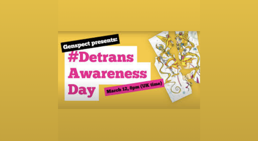 First #DetransAwarenessDay Webinar — Voices No Longer Ignored