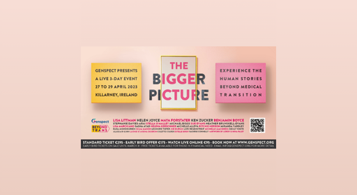 The Bigger Picture Conference — Killarney, Ireland